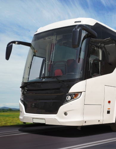 Renta de autobuses